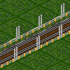 Trams